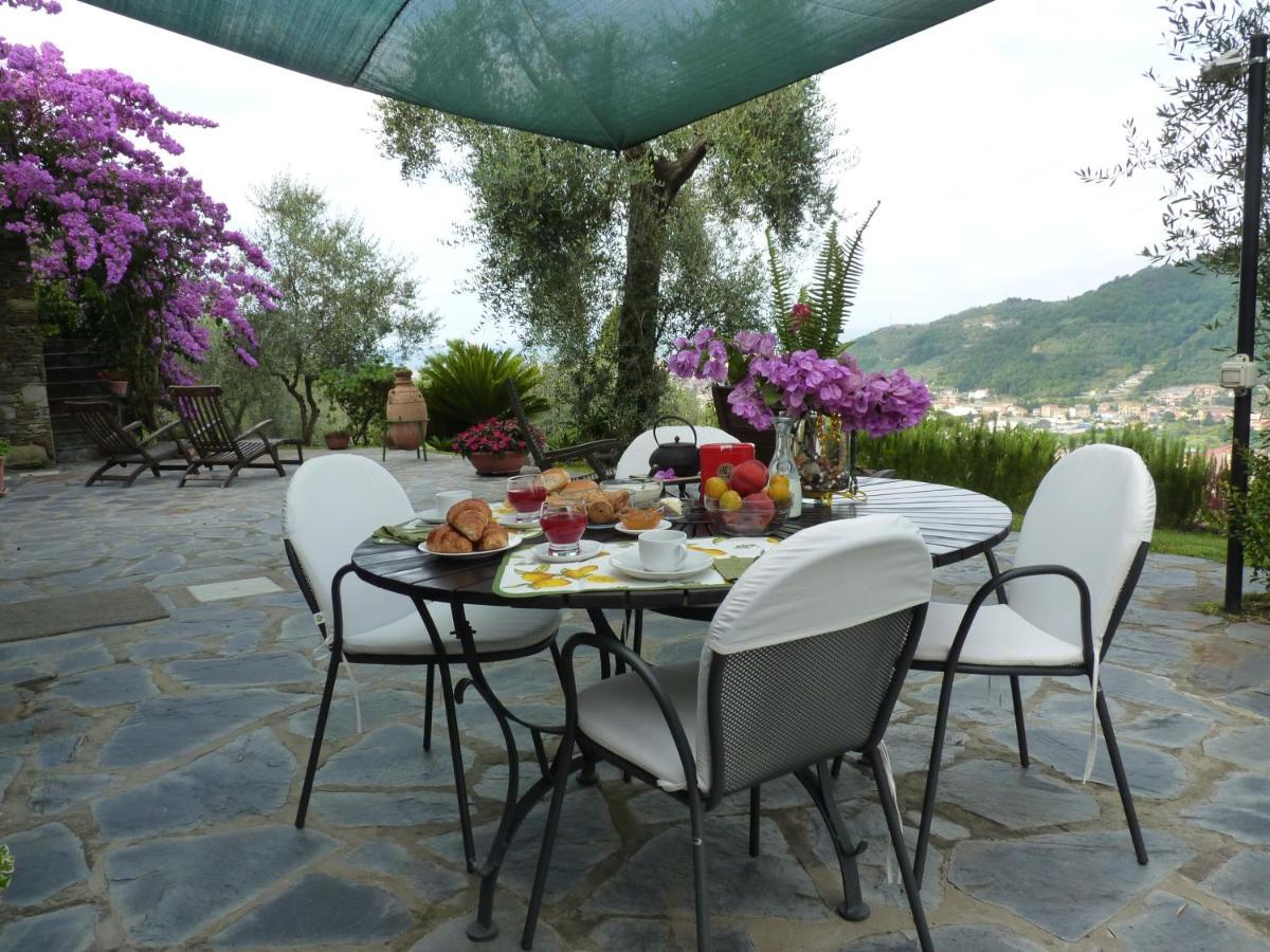 La Gatta Sul Sentiero Bed & Breakfast San Salvatore  Dış mekan fotoğraf