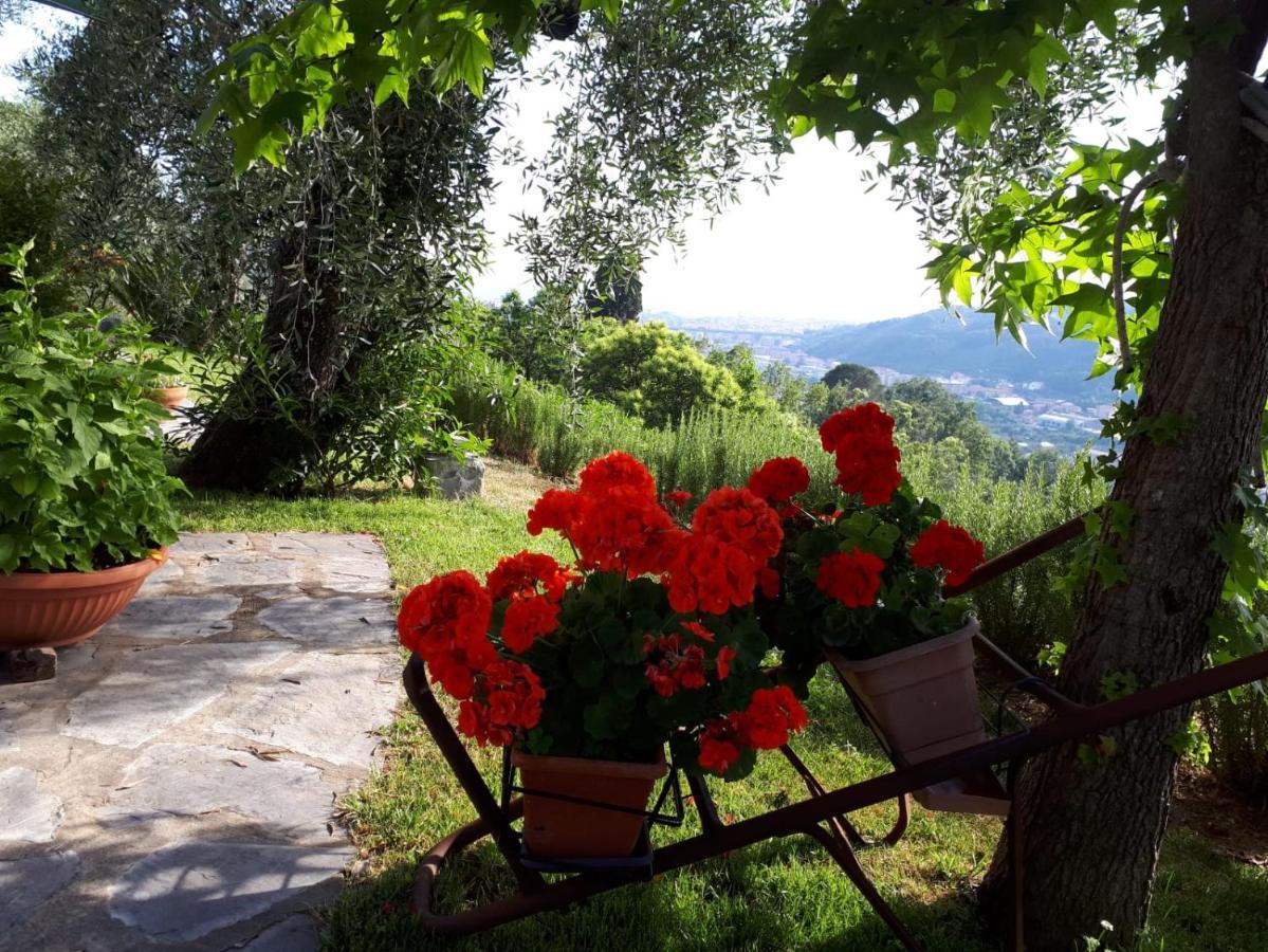 La Gatta Sul Sentiero Bed & Breakfast San Salvatore  Dış mekan fotoğraf