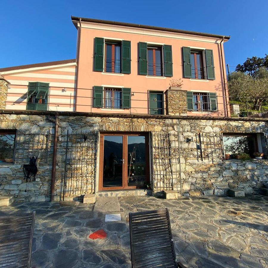 La Gatta Sul Sentiero Bed & Breakfast San Salvatore  Dış mekan fotoğraf