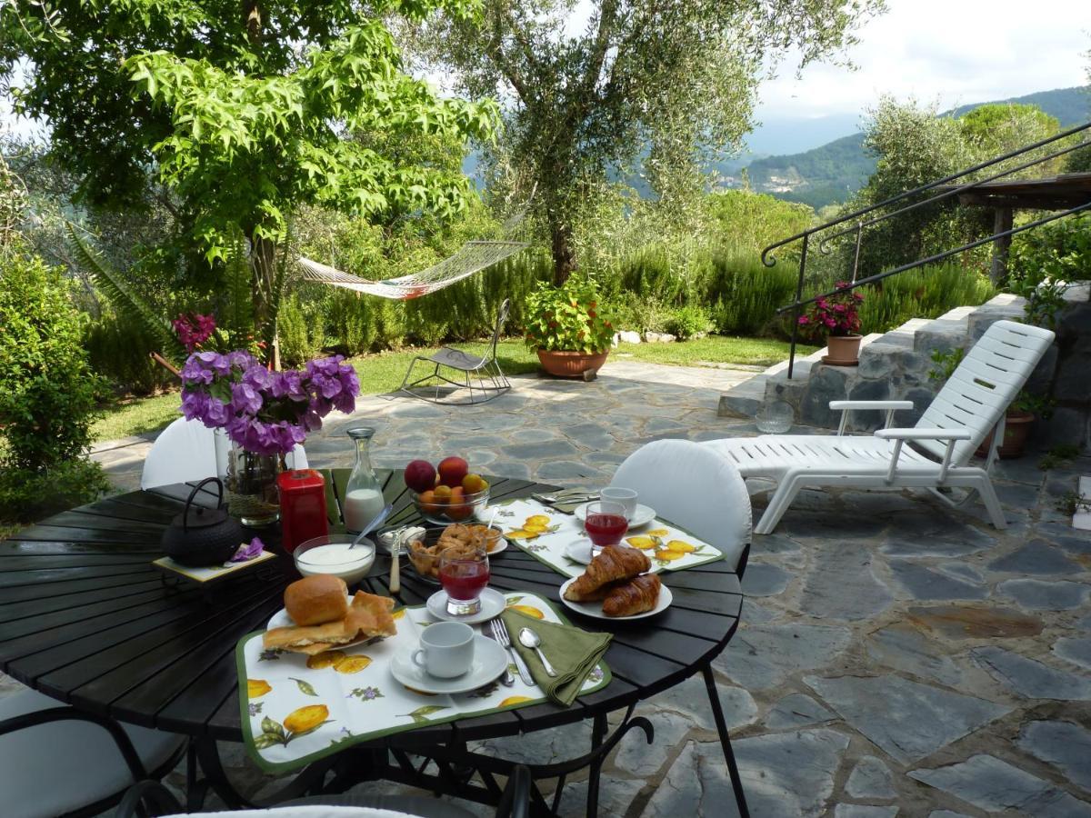 La Gatta Sul Sentiero Bed & Breakfast San Salvatore  Dış mekan fotoğraf