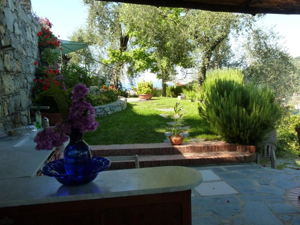 La Gatta Sul Sentiero Bed & Breakfast San Salvatore  Dış mekan fotoğraf