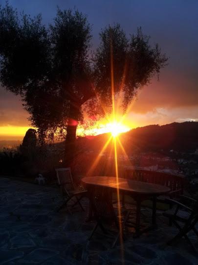 La Gatta Sul Sentiero Bed & Breakfast San Salvatore  Dış mekan fotoğraf