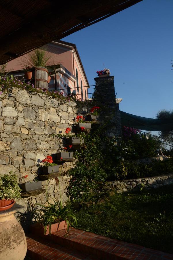 La Gatta Sul Sentiero Bed & Breakfast San Salvatore  Dış mekan fotoğraf