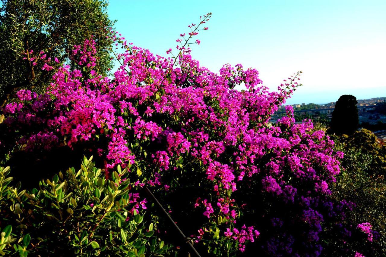 La Gatta Sul Sentiero Bed & Breakfast San Salvatore  Dış mekan fotoğraf